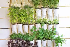 Maybe you would like to learn more about one of these? How To Plant In Small Places Urban Gardening Tips Eden