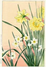 No Ones Nemesis Botanical Drawings Japanese Woodblock Printing Daffodils