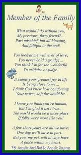Member Of The Family Dog Poems Pet Poems Pet Loss Grief