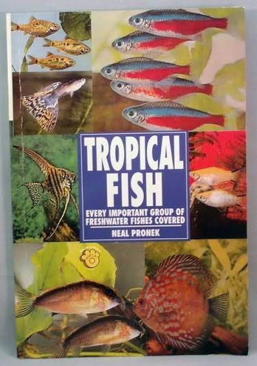 Buy Tropical Fish Book Online at Low Prices in India | Tropical Fish Reviews & Ratings - Amazon.in