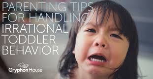 Parenting Tips for Handling Irrational Toddler Behavior