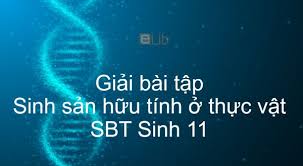 Tiết kiệm vật liệu di truyền (do sử dụng cả 2 tinh tử để thụ tinh). Giáº£i Sbt Sinh 11 Bai 42 Sinh Sáº£n Há»¯u Tinh á»Ÿ Thá»±c Váº­t