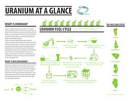 In an old system (≫500 ky) a radioactive secular equilibrium is established between the parent 238u or 235u and their daughter radioisotopes. Uranium At A Glance