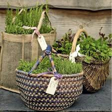 Krauter Garten Am Balkon Anlegen Tipps Zum Pflanzen Und Pflege Diy Krautergarten Krautergarten Drinnen Gartencontainer