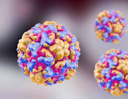 Rhinoviruses are the most common infectious agents of humans and most frequent cause of the common cold (acute nasopharyngitis), a mild disease of the upper respiratory tract. What Is Rhinovirus