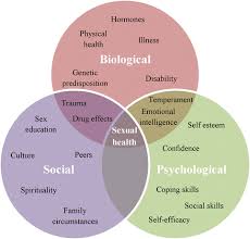 Image result for Sexual History