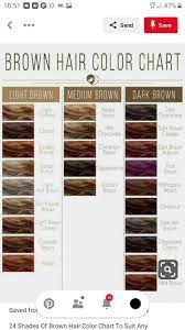 Pin By Rebeckah On Hair Color Idea S Brown Hair Color Chart Brown Hair Colors Cool Brown Hair