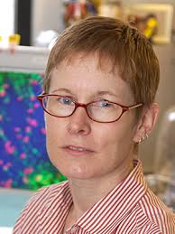 2022 Annual Report of the Division of Intramural Research, NICHD