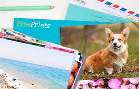 Grab a free personalised photo postcard from the postando app! About Freeprints App Uk For Iphone Android
