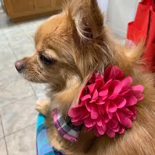 Bishop's Jewelers,...