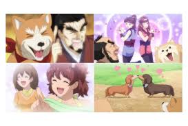 Don't have time for a full episode but want to catch up on the. Oda Cinnamon Nobunaga Episode 5 Hawk Hunting Golf Fire Ossan Event Introducing Japanese Anime