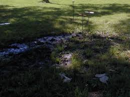 We did not find results for: Septic Rejuvenation Allows Failed Septic Systems To Rapidly Rejuvenate Extending The Lifespan Of The Drainfield And The Septic System Septic Preservation Services