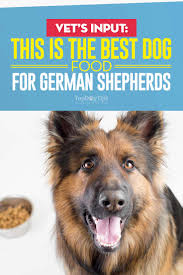 Royal canin breed health nutrition german shepherd puppy. Best Dog Food For German Shepherds 8 Vet Recommended Brands