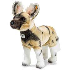 Pin On Wild African Dogs