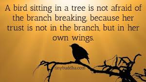 Check spelling or type a new query. Is It Possible To Trust Again