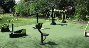 Are All Green Exercise Machines Equal ...