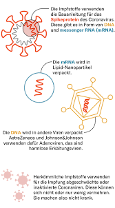 Es heisst, die botenstoffe seien liposomal verpackt, darum. Covid 19 So Geht Impfen Mit Mrna Und Den Neuen Vektorimpfstoffen
