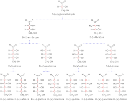 Ch103 Chapter 8 The Major Macromolecules Chemistry