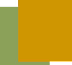 Serving pets in houston neighborhoods of briar at our houston location, you'll work with our friendly and qualified staff to help your pet thrive. Home Cat Vet Clinic