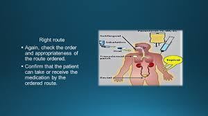 Image result for Medication Route