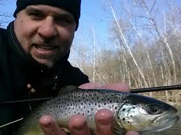 Stream recommendations for brook trout in Johnson/Morrisville