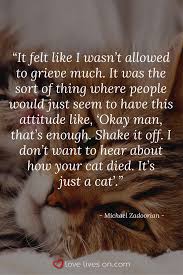 Check spelling or type a new query. I Miss My Cat Like Crazy After He Died But Kept My Grief Secret I Miss My Cat Miss My Cat Pet Grief