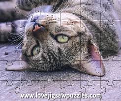 Cat jigsaw puzzles free online. Cats Jigsaw Puzzles Of Cats Free Online Jigsaws