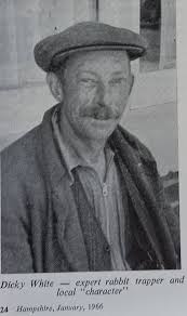 Sudden Movement by Richard Luce