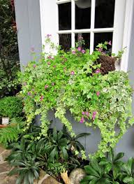 She shed chic, potting shed & backyard inspiration with photos of lovely garden sheds and ideas for designing sheds as well as resources to buy a kit. Putting The She In She Sheds Neil Sperry S Gardens