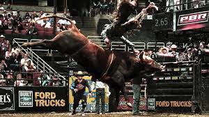 Tiled pbr textures made by substance designer. Pbr Bull Jb Mauney Bushwacker 1184408 Hd Wallpaper Backgrounds Download