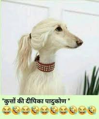 Funny Quotes In Hindi Attitude 53 New Ideas Funny Quotes In Hindi Funny Jokes In Hindi Funny Baby Jokes