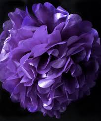 The pink tissue paper flowers decorations kit includes 5 colors for 20 pieces hanging pom poms. Closeout Ez Fluff 12 Dark Purple Tissue Paper Pom Poms Flowers Balls Decorations 4 Pack Paper Pom Poms Luna Bazaar Boho Vintage Style Decor