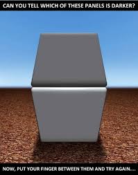Pics Which Panel Is Darker Optical Illusion Cool Optical Illusions Optical Illusions Illusions