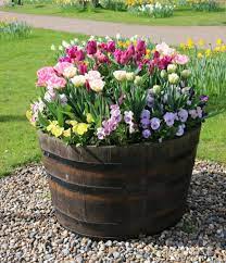 Some flowers do good in pots and others do not. 10 Low Maintenance Flowers To Grow In Your Garden That You Can T Kill My Thrifty Life By Cassiefairy