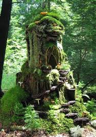 Fairy House Jardin De Maison Feerique Jardins Et Maison De Gnome