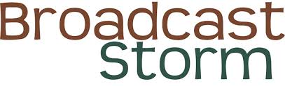 The broadcast storm is one of the major deficiencies in computer network systems and it can shut down entire network in seconds. What S Broadcast Storm Attack Root Causes Of A Broadcast Storm
