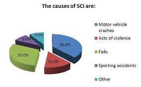 Spinal Cord Injury Statistics The Miami Project To Cure