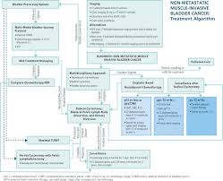 Each year, there are more than 83,000 new. Treatment Of Non Metastatic Muscle Invasive Bladder Cancer Aua Asco Astro Suo Guideline Sciencedirect