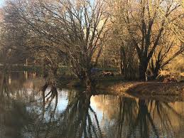 Brand New 37 Acre Lake