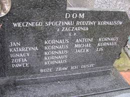 Jacek Lis Lisia Góra