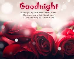 The thought of what we are and what we share makes me go to bed like a puppy happy to see her mother. Good Night Wishes Quotes Lover