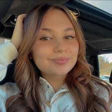 Reasons for panting in cats during vet visits