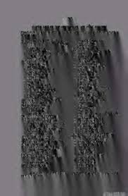 Image result for Ancistrorhynchus clandestinus