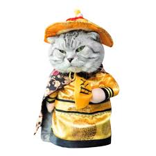 Free shipping on orders over $25 shipped by amazon. Kiar Pets Funny Cat Costumes Clothing Dress Clothes Cosplay Cat Cowboy Costume Halloween Costumes For Cats Buy Online In Albania At Albania Desertcart Com Productid 196861123