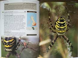 There is a clear plot, the writing is definitely a step where john dies at the end was a sort of lovecraftian mess, this book is full of spiders is more about zombies (or at least, society's. Shropshire Birder Book Review Britain S Spiders Wildguides