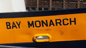 Image result for Yellow 1976 Fleet