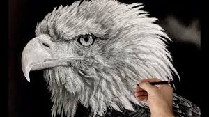 Hyperrealistic Bald Eagle Drawing Time Lapse Youtube Eagle Drawing Drawings Pencil Drawings Of Girls