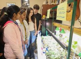 Talonette takes a knee to 'take a stand' in National Anthem controversy