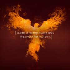 The phoenix is a mythological bird that recycles its own life. Think For Yourself On Instagram In Order To Rise From Its Own Ashes A Phoenix First Must Burn Thinkfor Phoenix Quotes Meant To Be Quotes Rise Quotes
