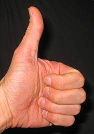 Artículos, fotos, videos, análisis y opinión sobre eduardo pulgar. Pulgar Definition And Synonyms Of Pulgar In The Spanish Dictionary